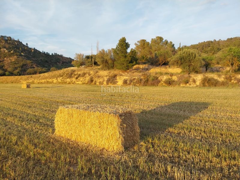 Foto 93e30f23-c9aa-46cf-a8bf-64d2a52de029. Finca rústica a Torre de l´Espanyol (La)