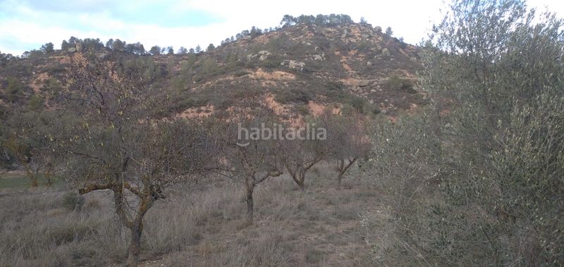 Foto abd9e2b0-32e9-4b27-b5f8-ba34ab75ddde. Finca rústica a Torre de l´Espanyol (La)