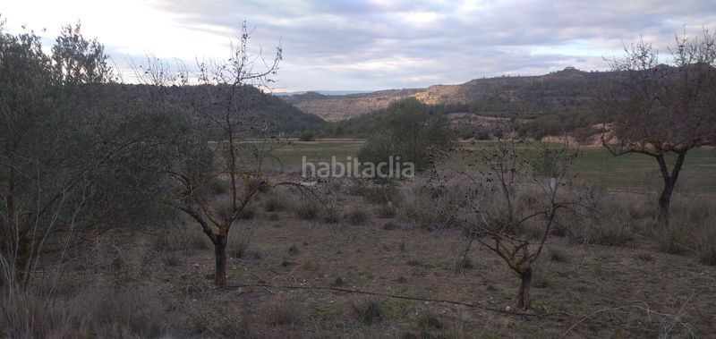 Foto f3241579-7b5d-4706-afd3-3c2c8643b36b. Finca rústica a Torre de l´Espanyol (La)