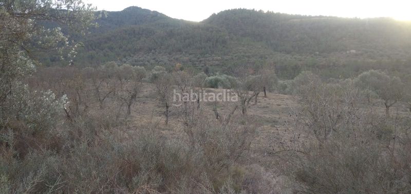 Foto fd3eebf4-9b0a-43a2-9290-49385c9eeb94. Finca rústica a Torre de l´Espanyol (La)