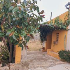 Finca rústica a Aldea (L´). Finca en venta en la aldea