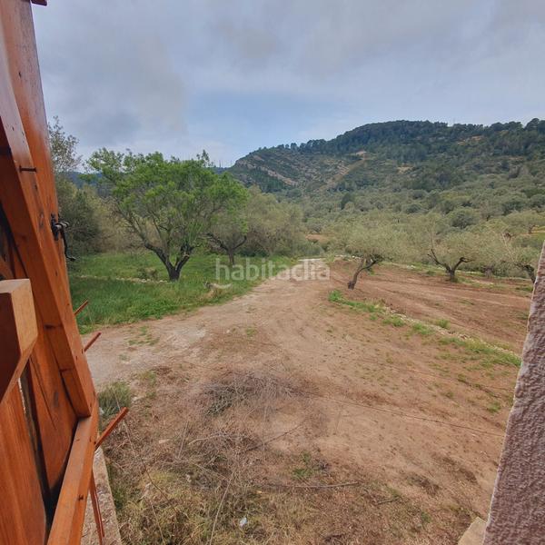 Foto 4db8e807-267e-4f82-a6e0-82b69eae1a1a. Fondo rustico in Centre Tortosa