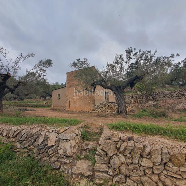 Foto 52a89d34-a5d9-4587-8e38-bf637d666adc. Fondo rustico in Centre Tortosa