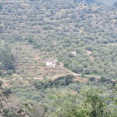 Landgut in Centre. Finca en venta en tortosa