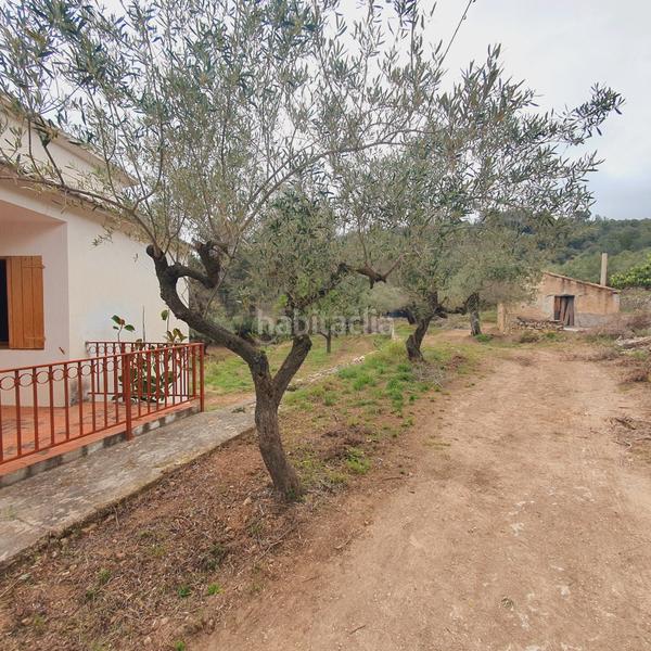 Foto a0900b36-9e40-422e-86b9-cfdb26023dec. Fondo rustico in Centre Tortosa