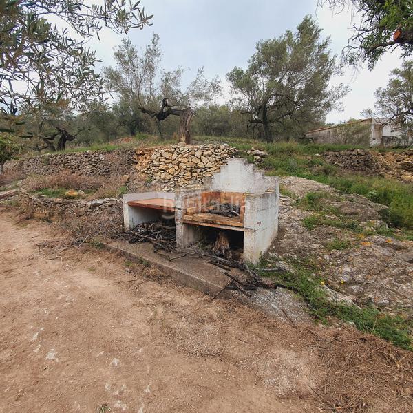 Foto a558e855-bda8-4429-83d5-16701f7d4bb6. Fondo rustico in Centre Tortosa