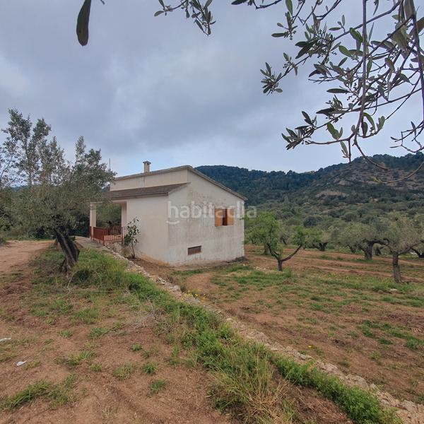 Foto ac40fb6a-8f07-4463-bf69-1e337569f026. Fondo rustico in Centre Tortosa