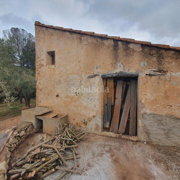 Foto bd0289cd-e6de-415a-8fa1-1b4c092799b2. Fondo rustico in Centre Tortosa