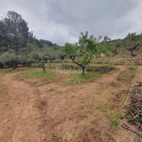 Foto dd1a603f-81ab-4737-901b-32a738e24b64. Fondo rustico in Centre Tortosa