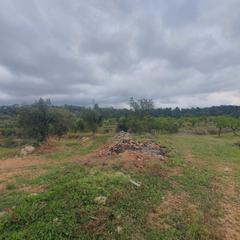 Rural plot in Pinell de Brai (El). Suelo agrícola en venta en el pinell de brai