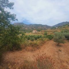 Rural plot in Benifallet. Suelo agrícola en venta en benifallet