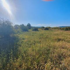 Rural plot in Gandesa. Suelo agrícola en venta en gandesa
