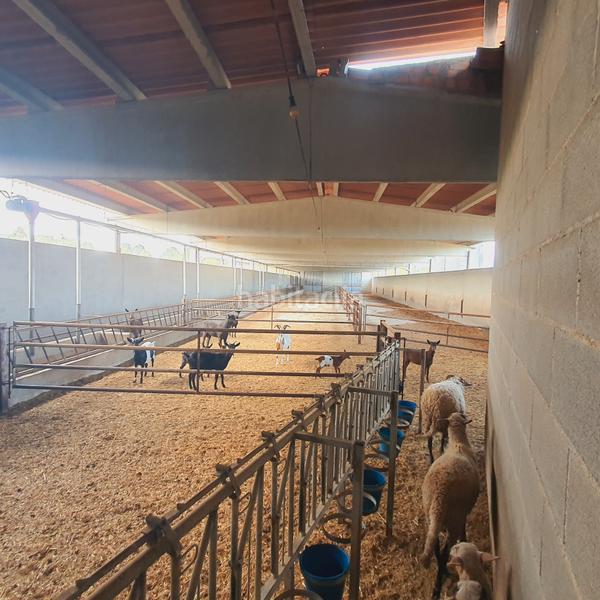Foto fd1e6f2a-99f2-4041-9d98-e30ddb759f6c. Finca rústica a Tivissa