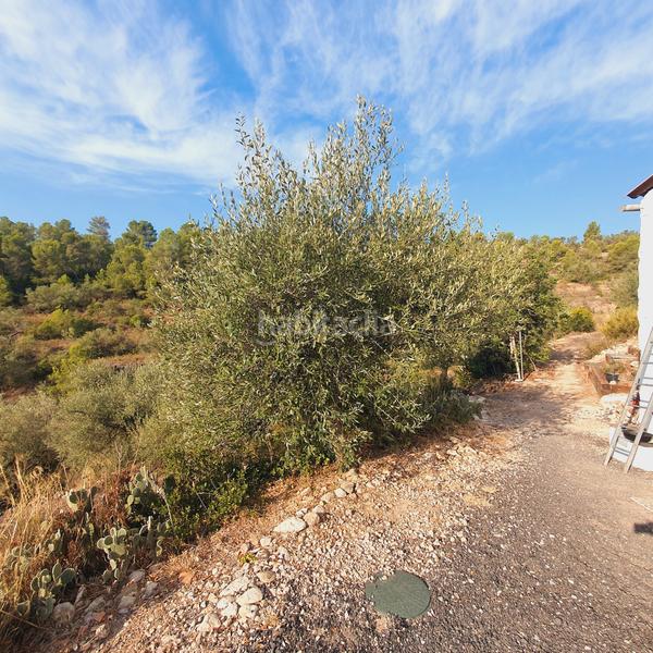Foto 07eed819-8df6-44d4-acce-911cc89d998d. Finca rústica finca en venta en Benifallet