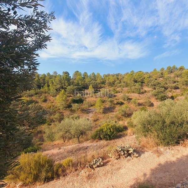 Foto 0d2e1988-2ee6-4c08-add5-a4d579b5320a. Finca rústica finca en venta en Benifallet