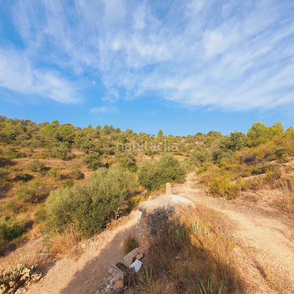 Foto 0d309234-0f74-4efb-b827-389f9299eb8b. Finca rústica finca en venta en Benifallet