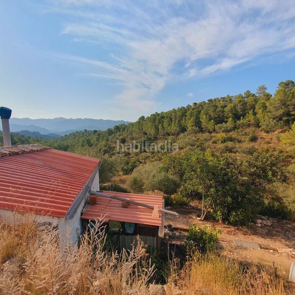 Foto 261369bf-a4ae-4e1a-a75b-4d6fc04a03fb. Finca rústica finca en venta en Benifallet