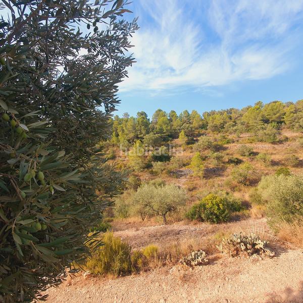 Foto 4d4f85a1-2c60-4004-b319-48577001573f. Finca rústica finca en venta en Benifallet