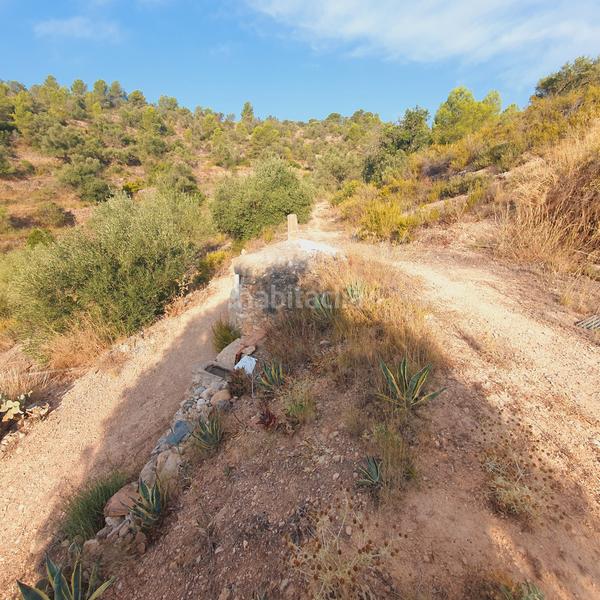Foto 70f8d166-66e3-4d32-aa6d-72daf83e52eb. Finca rústica finca en venta en Benifallet