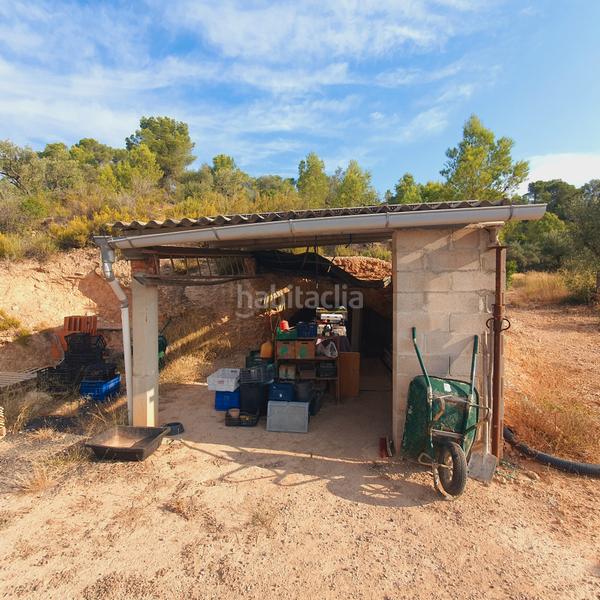 Foto 7a458d07-6c7b-46da-9fc8-81a27848a14a. Finca rústica finca en venta en Benifallet