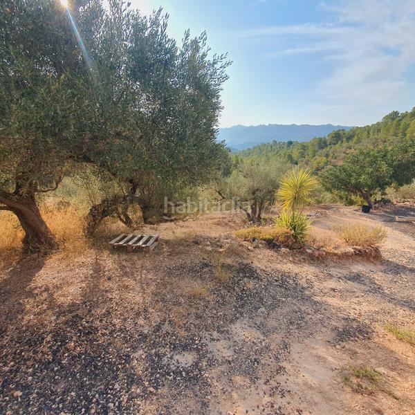 Foto 90f71125-55e9-4d89-a11c-0aee8a2fde16. Finca rústica finca en venta en Benifallet