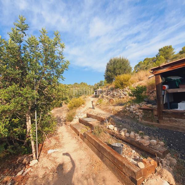 Foto 96850f41-f701-415d-a387-efb8d5f8ad74. Finca rústica finca en venta en Benifallet