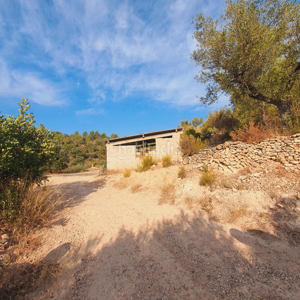 Foto a49beb38-6098-4b92-9c8a-75b6012abc96. Finca rústica finca en venta en Benifallet