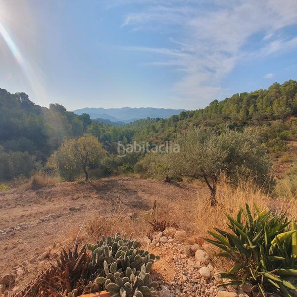 Foto c41aba5d-227a-4a8e-a457-9fdd1b34b5a0. Finca rústica finca en venta en Benifallet
