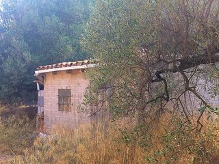 Fondo rustico in Benifallet