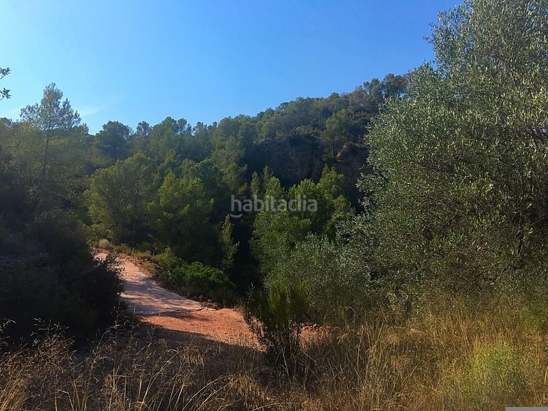 Foto 6600e441-c7ea-4553-bd02-894061a0ae3a. Finca rústica a Benifallet