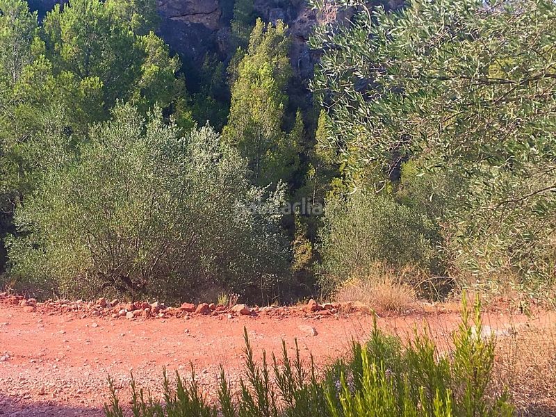 Foto 903ee803-9a84-46d5-bc00-a5316aa8002d. Finca rústica a Benifallet