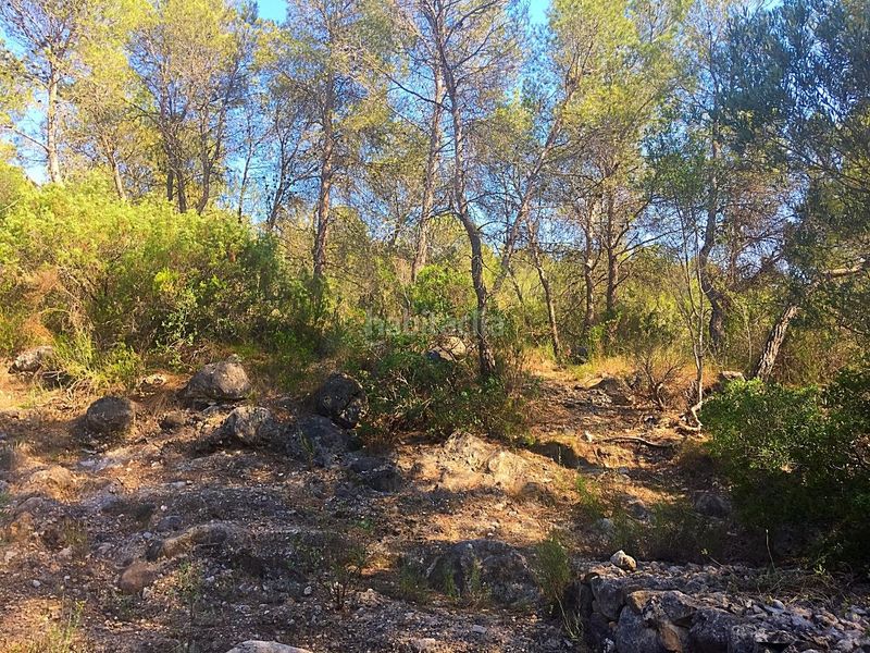 Foto a6333030-8800-4f46-87ef-5f11d07342f5. Finca rústica a Benifallet