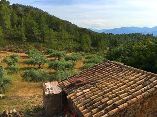 Mas à Benifallet