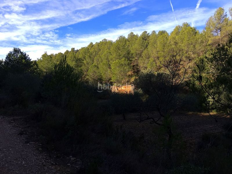 Foto 14721f11-914b-4b3f-8ae5-bf94956dd032. Casa a Pinell de Brai (El)