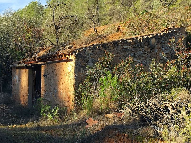Foto 19c85582-3ad2-49a3-8c8f-276ff0aa03da. Casa a Pinell de Brai (El)
