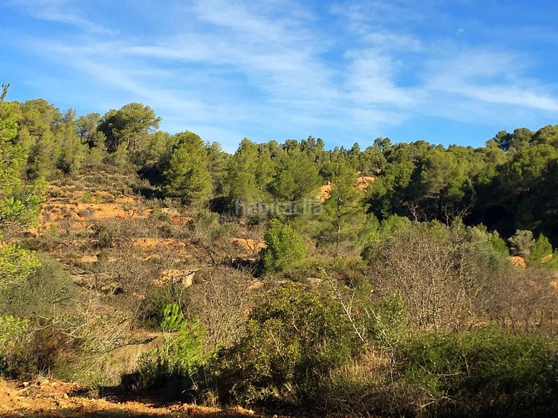 Foto 25b86d67-c550-4b39-b862-6b277c6c1026. Casa a Pinell de Brai (El)