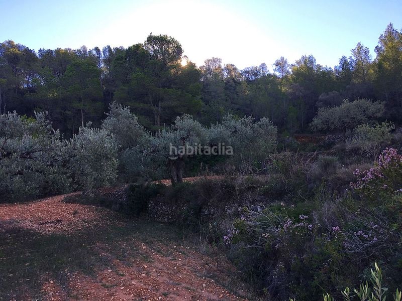 Foto 71267b6b-1565-4200-8cc4-85f55cd9afa2. Casa a Pinell de Brai (El)
