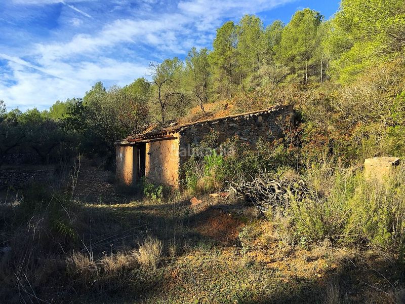 Foto 84fd1a92-ec01-4e00-ba69-3c9a1aa6986f. Casa a Pinell de Brai (El)