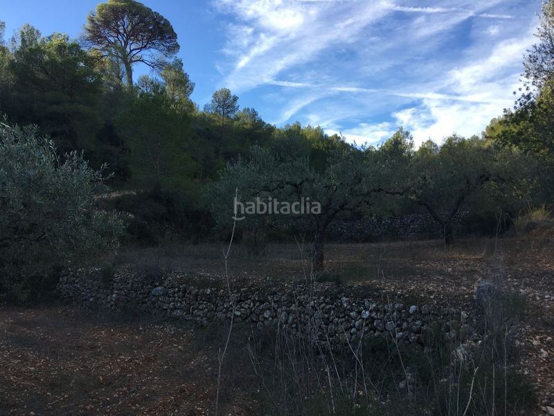 Foto a63502bc-efcc-490d-991f-a93db69c327a. Casa a Pinell de Brai (El)