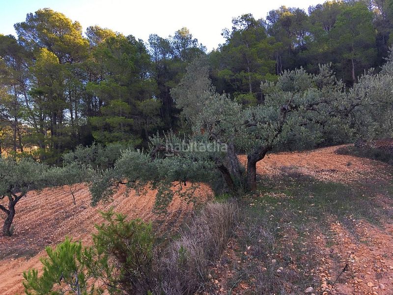 Foto a7f81e84-c8ec-4804-be62-85b7d7a25708. Casa a Pinell de Brai (El)