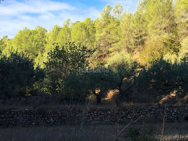 Foto ad3287f5-2e18-46c3-9d24-17976a5d2bb8. Casa a Pinell de Brai (El)