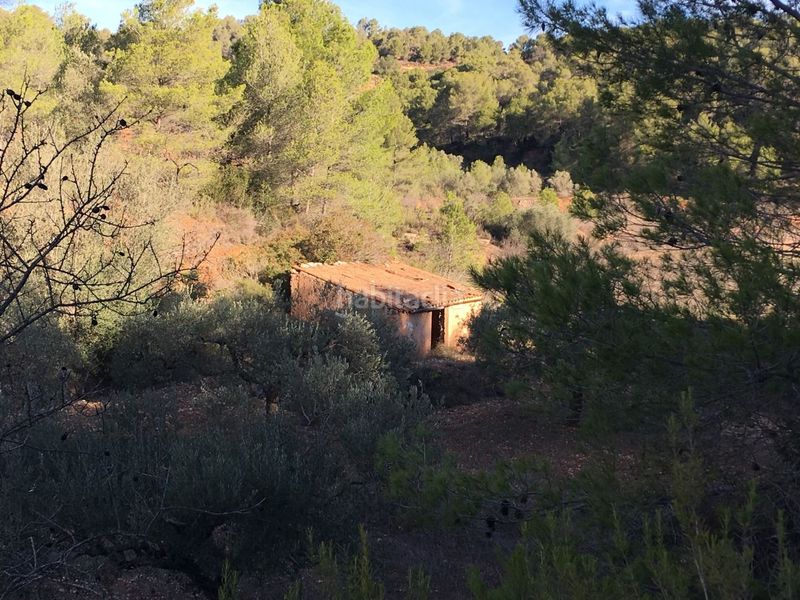 Foto e5bcf5d4-1622-4766-8aff-3a61cb4d2444. Casa a Pinell de Brai (El)