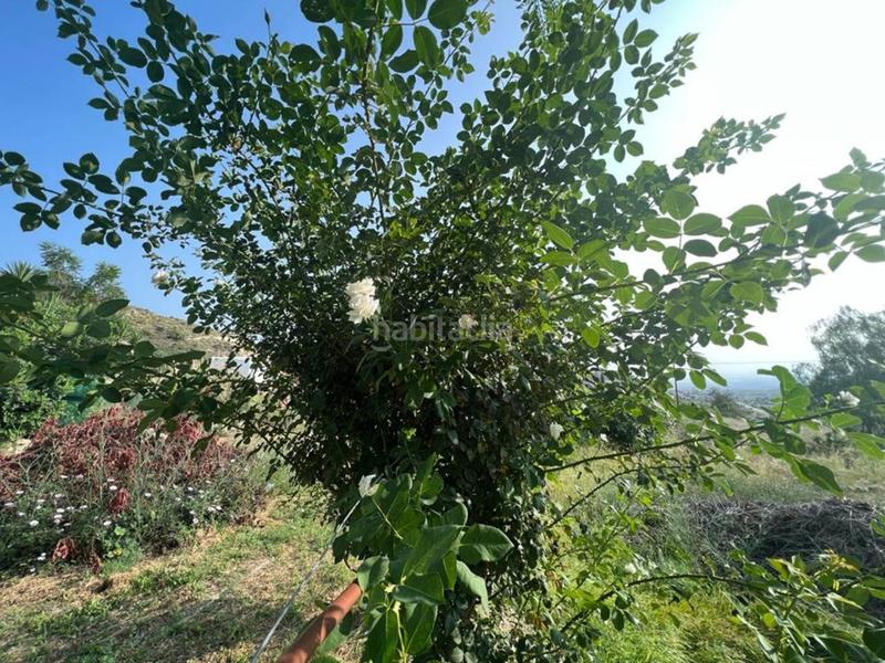 Foto 4f5d2c68-369f-4653-809f-efcdae883426. Chalet  en venta en Busot