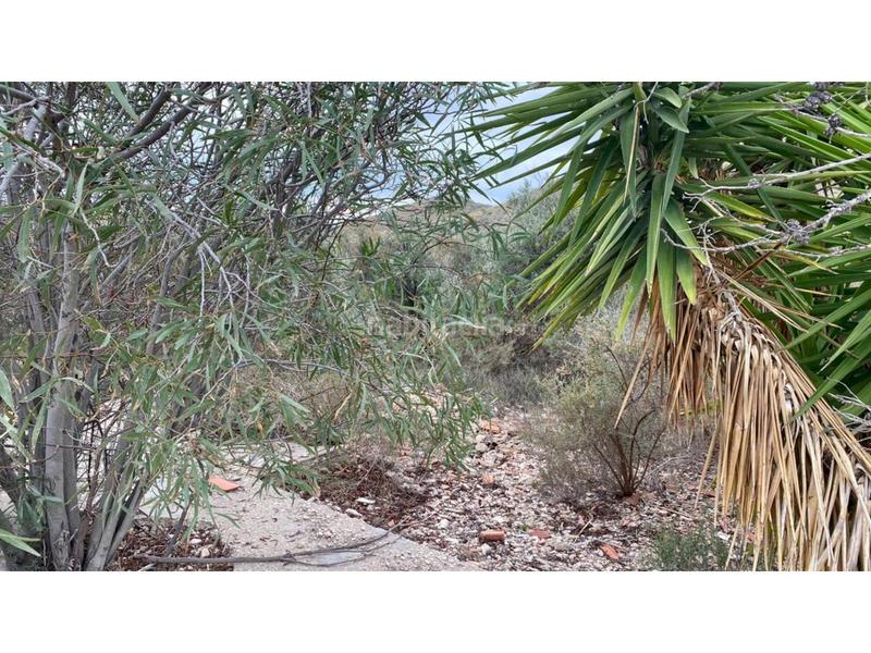 Foto 61bcb085-e19b-4fb1-812f-05ba7bb0b660. Mas avec piscine dans Monforte del Cid