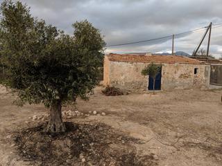 Terrain résidentiel à Agost. Parcela en venta en agost