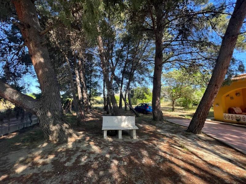 Foto 1b01bbc0-054f-4f2a-9598-5e90bfae7461. Chalet mit parking pool in Castalla