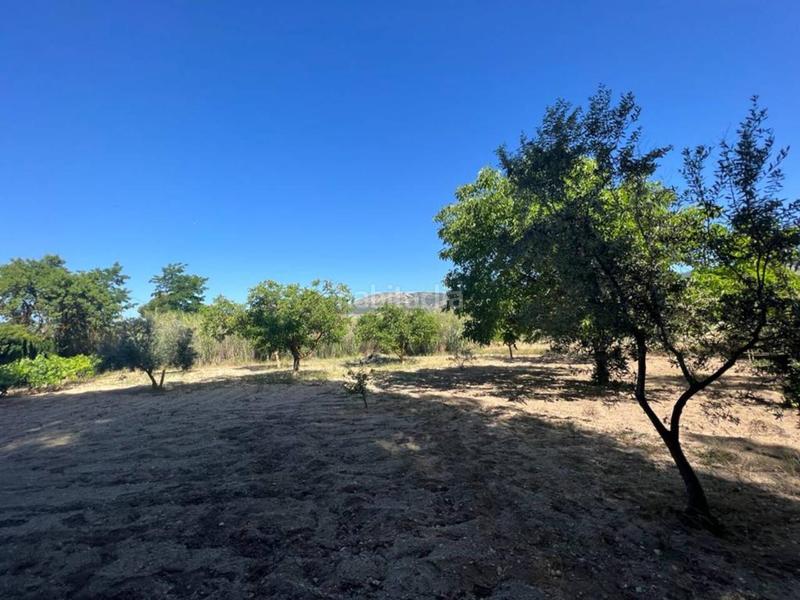 Foto 82ff4a92-d11e-4adf-bd52-fa1ea7318044. Chalet mit parking pool in Castalla