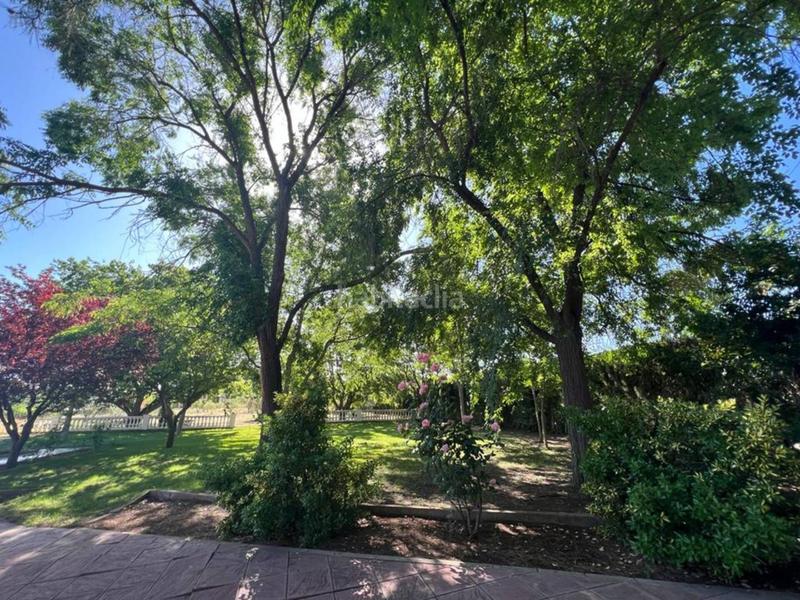 Foto ea19ae08-730e-433e-9c37-95eefbee2466. Chalet mit parking pool in Castalla