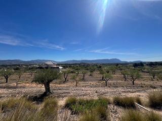 Masia a Castalla. Chalet en venta en castalla