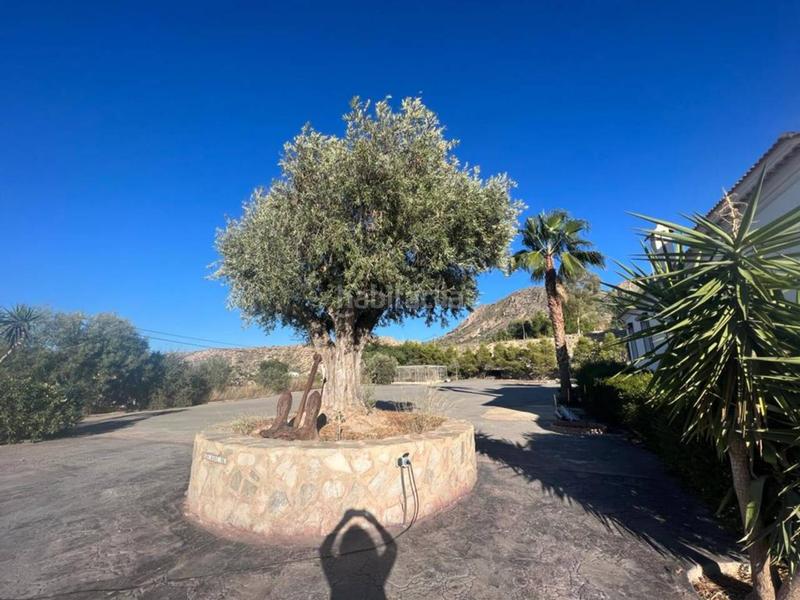 Foto 723a7d23-7fa8-4182-81c6-42780ed434ce. Chalet  en venta en la cañada en Cañada del Fenollar Alicante